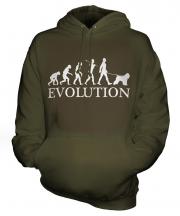 Bouvier Des Flandres Evolution Unisex Adult Hoodie
