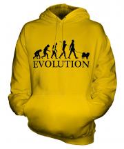 Chow Chow Evolution Unisex Adult Hoodie