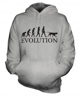 Dalmatian Evolution Unisex Adult Hoodie