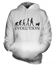Springer Spaniel Evolution Unisex Adult Hoodie