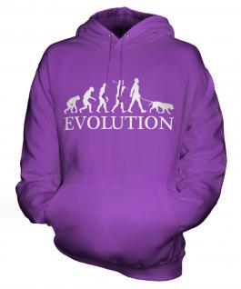 Retriever Evolution Unisex Adult Hoodie