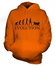 Great Pyrenees Evolution Unisex Adult Hoodie