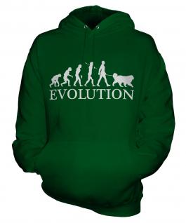 Great Pyrenees Evolution Unisex Adult Hoodie