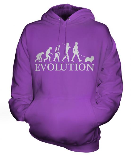 Havanese Evolution Unisex Adult Hoodie