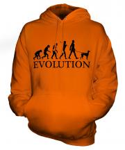 Ibizan Hound Evolution Unisex Adult Hoodie