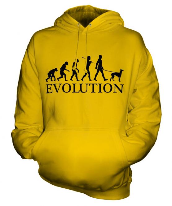 Ibizan Hound Evolution Unisex Adult Hoodie