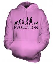 Ibizan Hound Evolution Unisex Adult Hoodie