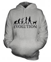 Ibizan Hound Evolution Unisex Adult Hoodie