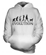 Ibizan Hound Evolution Unisex Adult Hoodie