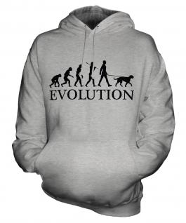 Irish Wolfhound Evolution Unisex Adult Hoodie