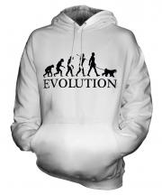 Kerry Blue Terrier Evolution Unisex Adult Hoodie