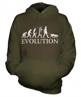 Labrador Retriever Evolution Unisex Adult Hoodie