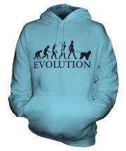 Old English Sheepdog Evolution Unisex Adult Hoodie