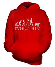 Old English Sheepdog Evolution Unisex Adult Hoodie