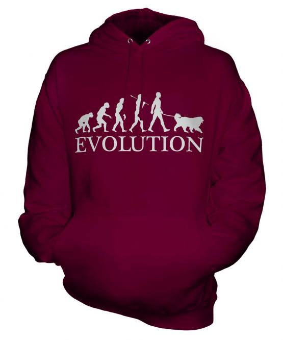 Saint Bernard Evolution Unisex Adult Hoodie