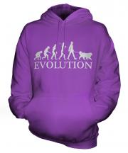 Saint Bernard Evolution Unisex Adult Hoodie