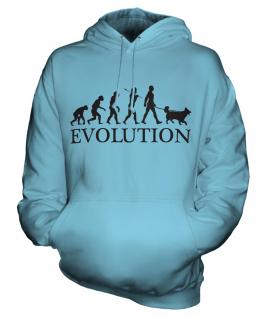 Shetland Sheepdog Evolution Unisex Adult Hoodie