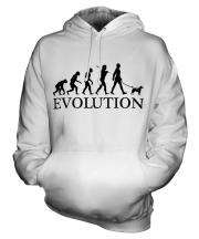 Fox Terrier Evolution Unisex Adult Hoodie