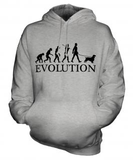 Sussex Spaniel Evolution Unisex Adult Hoodie