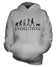 Swedish Vallhund Evolution Unisex Adult Hoodie