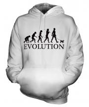 Toy Poodle Evolution Unisex Adult Hoodie