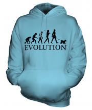 Welsh Terrier Evolution Unisex Adult Hoodie