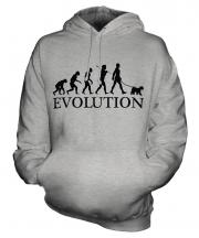 Welsh Terrier Evolution Unisex Adult Hoodie