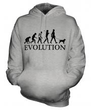 American Staffordshire Terrier Evolution Unisex Adult Hoodie
