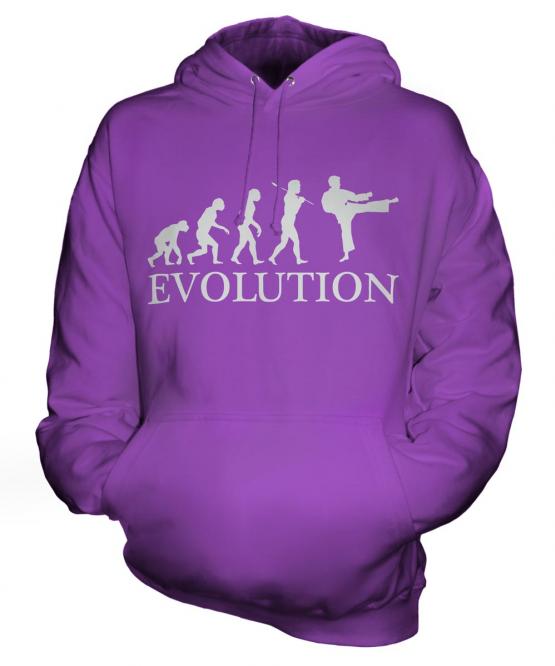 Karate Evolution Unisex Adult Hoodie