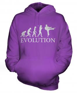 Karate Evolution Unisex Adult Hoodie