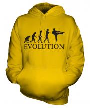 Karate Evolution Unisex Adult Hoodie