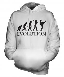 Taekwondo Evolution Unisex Adult Hoodie