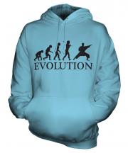 Martial Arts Evolution Unisex Adult Hoodie