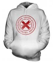 Under Quarantine Unisex Adult Hoodie