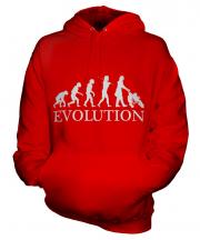 Mum With Pushchair Evolution Unisex Adult Hoodie