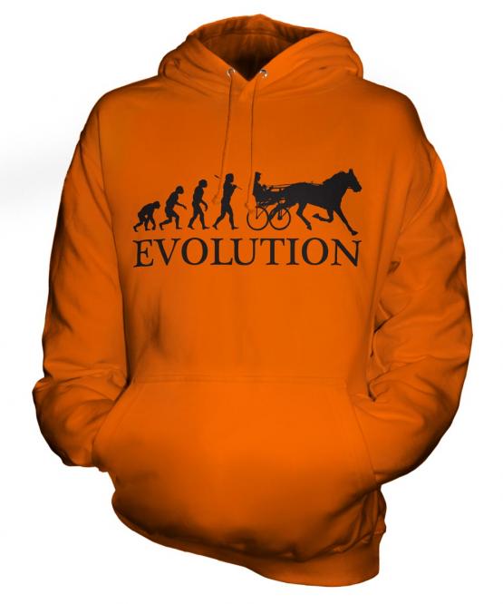 Horse And Cart Racing Evolution Unisex Adult Hoodie