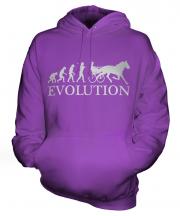 Horse And Cart Racing Evolution Unisex Adult Hoodie